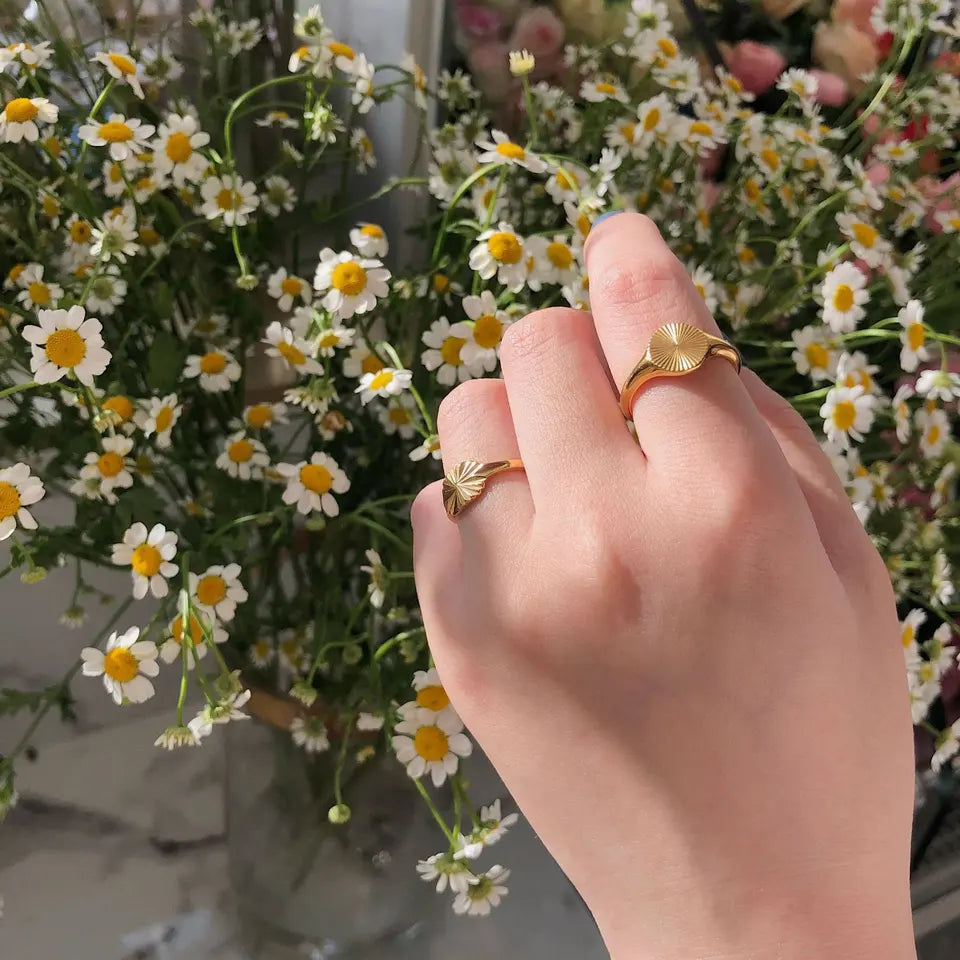 Terra Ring